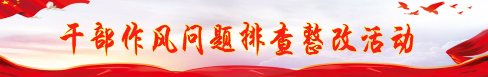 干部作風問題排查整改活動